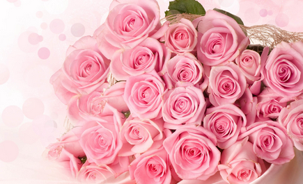 粉色玫瑰代表什么你知道吗