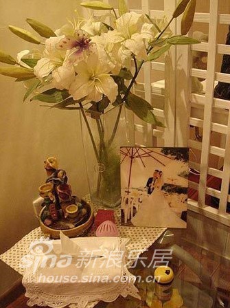 其他 三居 客厅图片来自用户2558746857在4万打造100平温馨简约时尚家73的分享