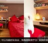 小资白领12万全包88平婚房不吃亏26