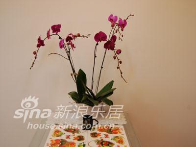 简约 三居 客厅图片来自用户2737786973在甜蜜温馨的玫瑰爱家43的分享