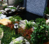 名雕丹迪设计--金地九珑璧别墅--新中式花园