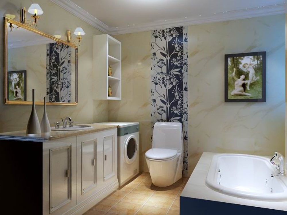 欧式 三居 白领 收纳 卫生间图片来自天津宜家宜装饰在保利玫瑰湾--简欧的分享
