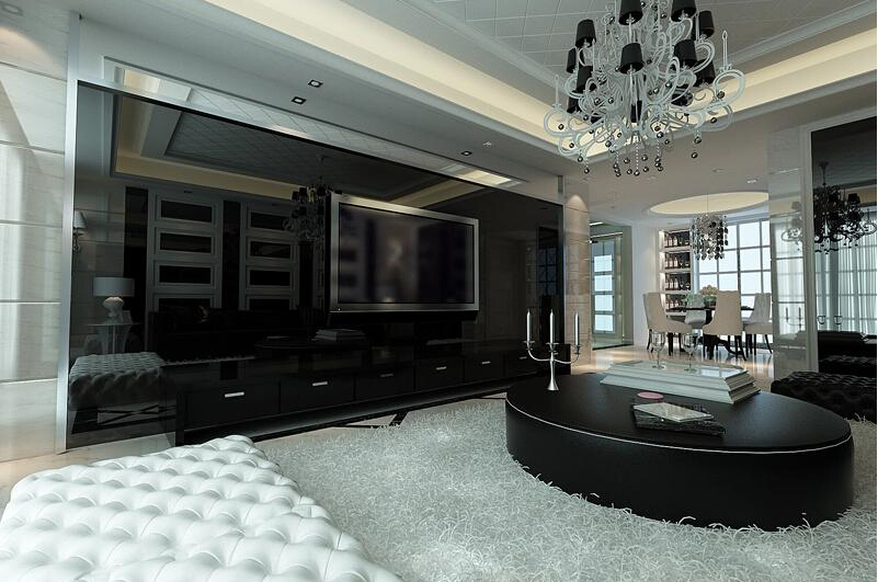 客厅图片来自tjsczs88在经典黑白时尚简约主义的分享