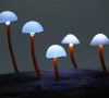 荧光蘑菇犹如夜里的精灵，小巧讨喜。