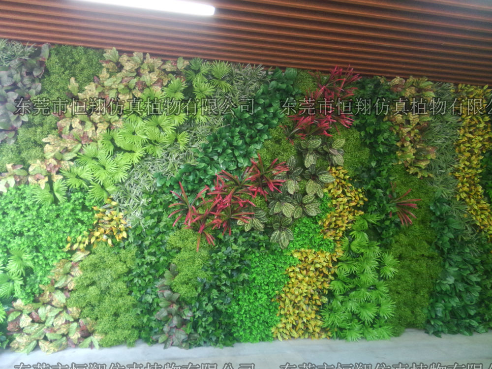 植物墙 仿真 家居 装修 装饰图片来自奢望人生-強在深圳华强北创客中心植物墙的分享