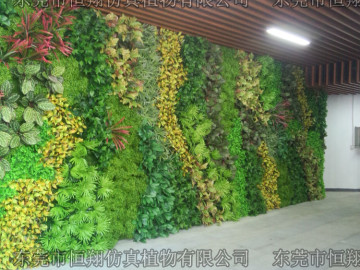 深圳华强北创客中心植物墙