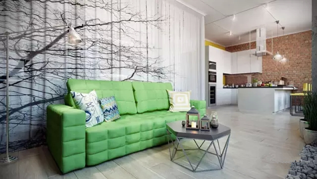 二居 60平 客厅 卧室 餐厅 厨房 绿色 白色 黄色 客厅图片来自实创装饰晶晶在撞色的俄罗斯60㎡现代摩登小公寓的分享