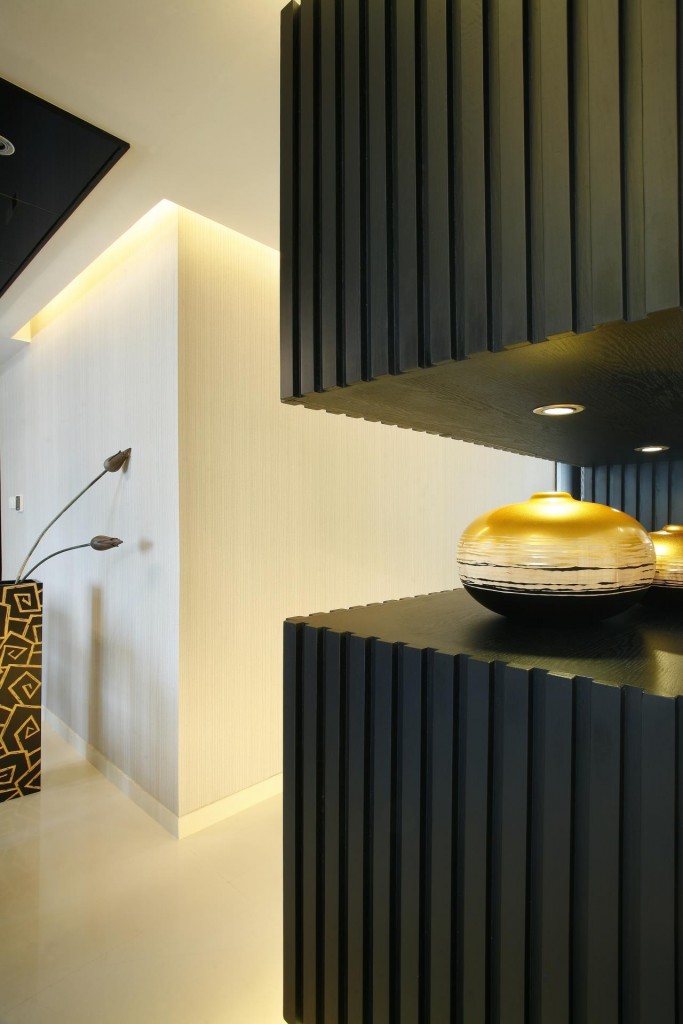 简约 现代 三居 时尚 高贵 玄关图片来自天津别墅室内装修在锐林作品·大都会黑白灰现代空间的分享