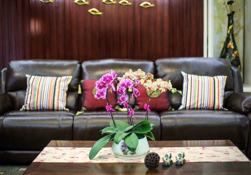 简约 别墅 白领 欧式 客厅图片来自在深圳南山 珑御府 300平米的分享
