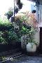 【深圳漾空间设计有限公司】漾设计Young Design——阳台上种一些喜欢的花花草草，绿色能使人心情愉悦，绿色植物可给人心旷神怡之感。