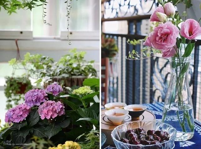 阳台图片来自甘肃紫苹果装饰在让阳台成为心中的后花园。的分享