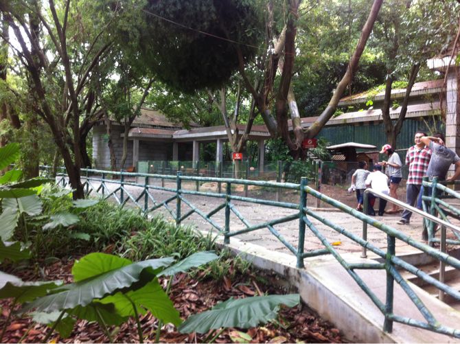 图片来自春城好宅国际设计机构在深圳野生动物园的分享